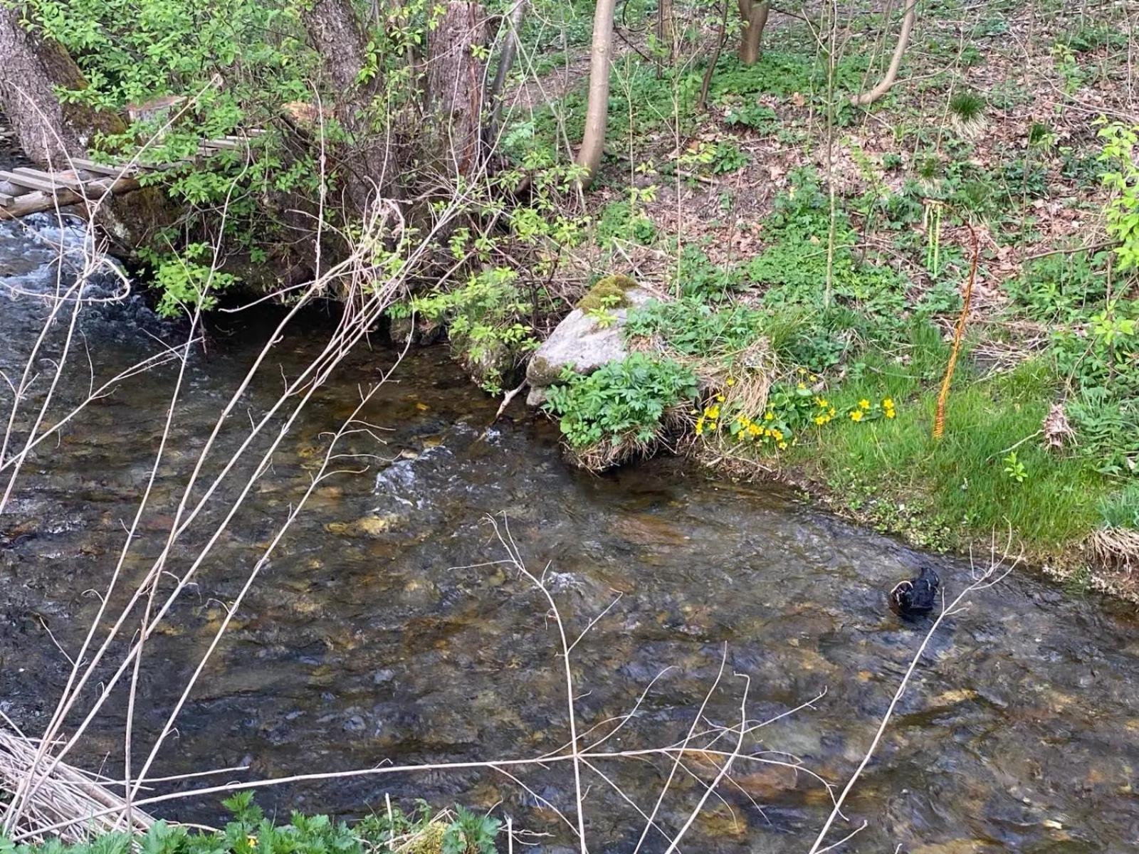 Chata Sedmikraska Malá Morávka Bagian luar foto